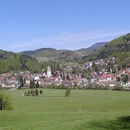 Parkhotel Sonne Schönau im Schwarzwald 외부 사진