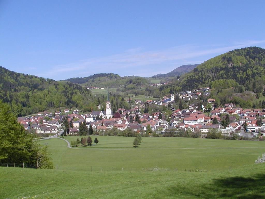 Parkhotel Sonne Schönau im Schwarzwald 외부 사진
